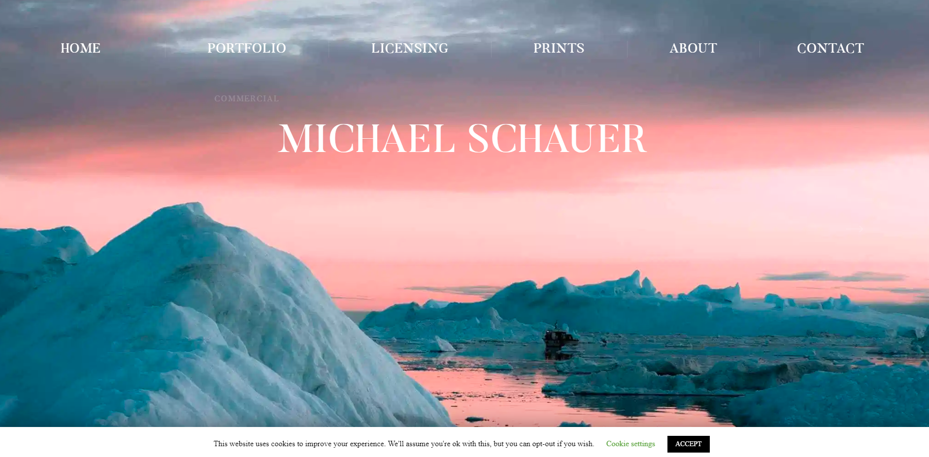 ポートフォリオ画像(5)